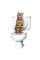 Набір для привчання кішки до туалету Citi Kitty Cat Toilet Training Kit, система привчання кішок до унітазу CitiKitty