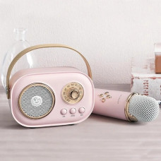 Мікрофон дитячий бездротовий караоке C-20 Bluetooth вбудована колонка ефекти зміни голосу