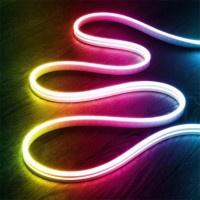 Умная гибкая LED RGB, неоновая лента-шланг 10 м, с питанием от USB